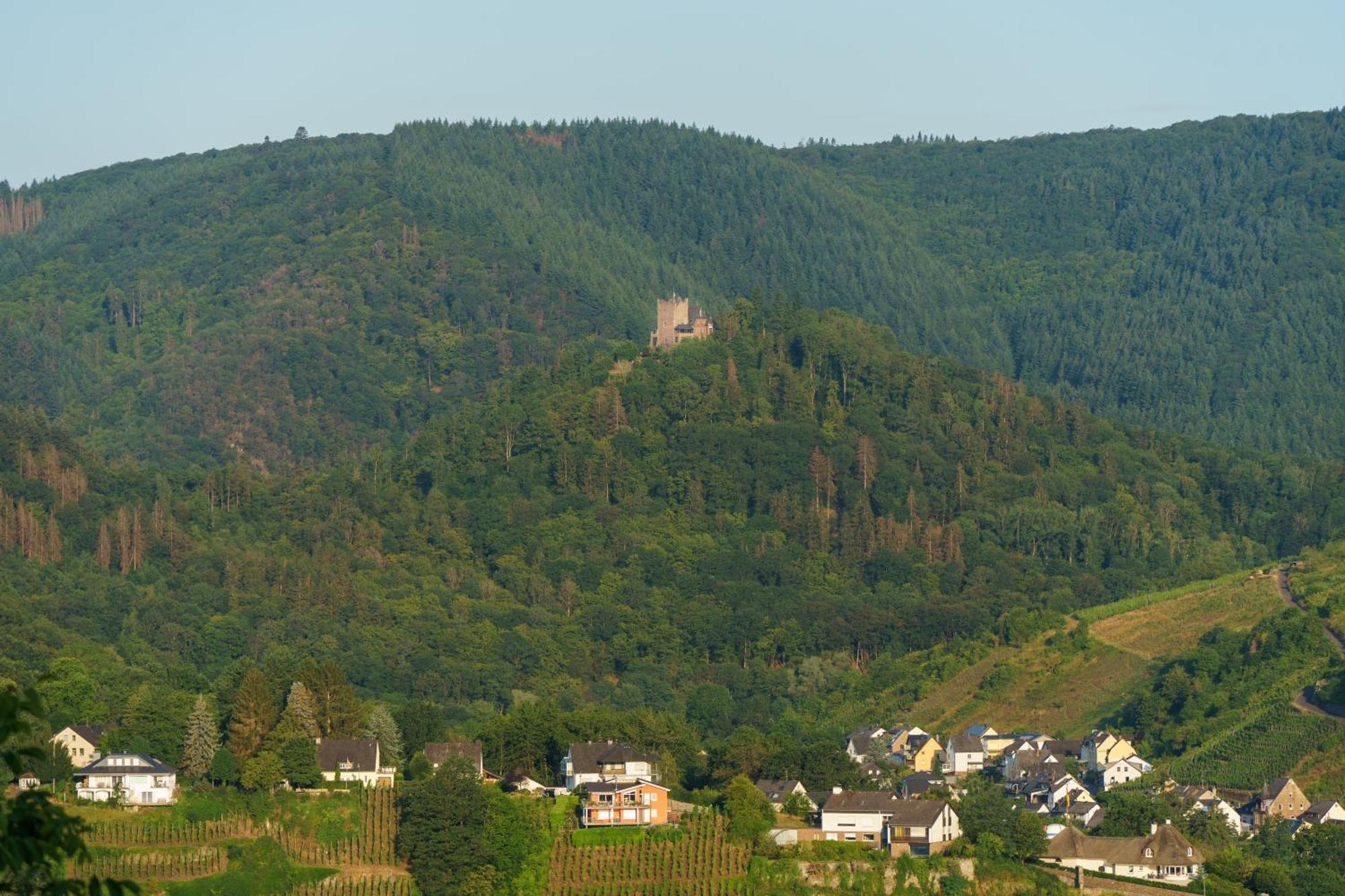 Ferienwohnung Auf Sarret ブライ エクステリア 写真